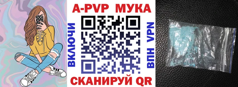 A PVP СК КРИС  Бийск 