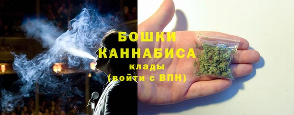 амф Бронницы