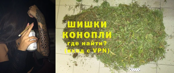 амф Бронницы