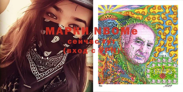 PSILOCYBIN Бородино